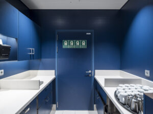 Tammer doors at Star of the Seas Cruise Ship